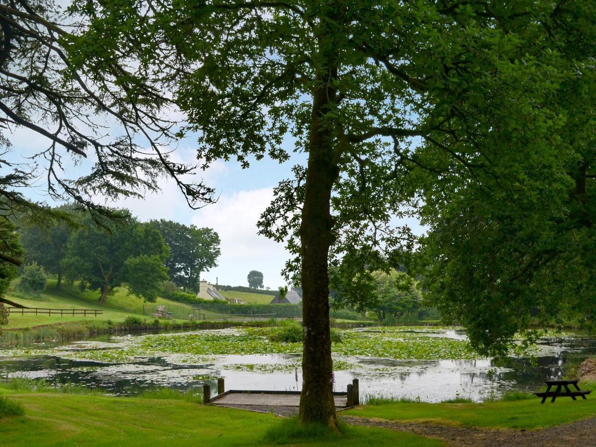 Riverside Cottage - B6859 Saint Cleer Buitenkant foto